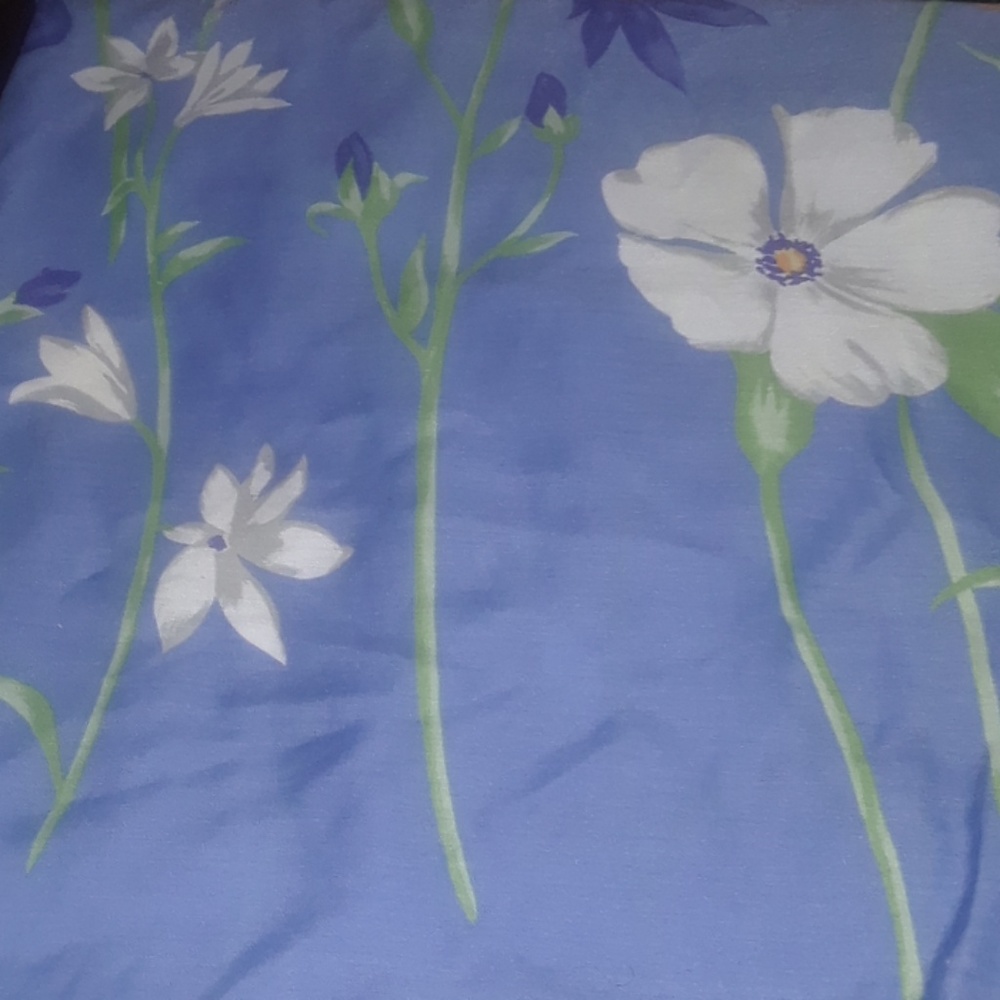 Beautiful shower curtain